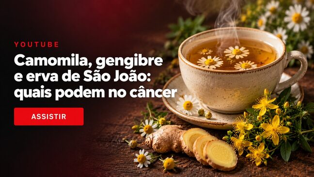 Aula da semana: camomila, gengibre e erva de São João, quais podem no câncer